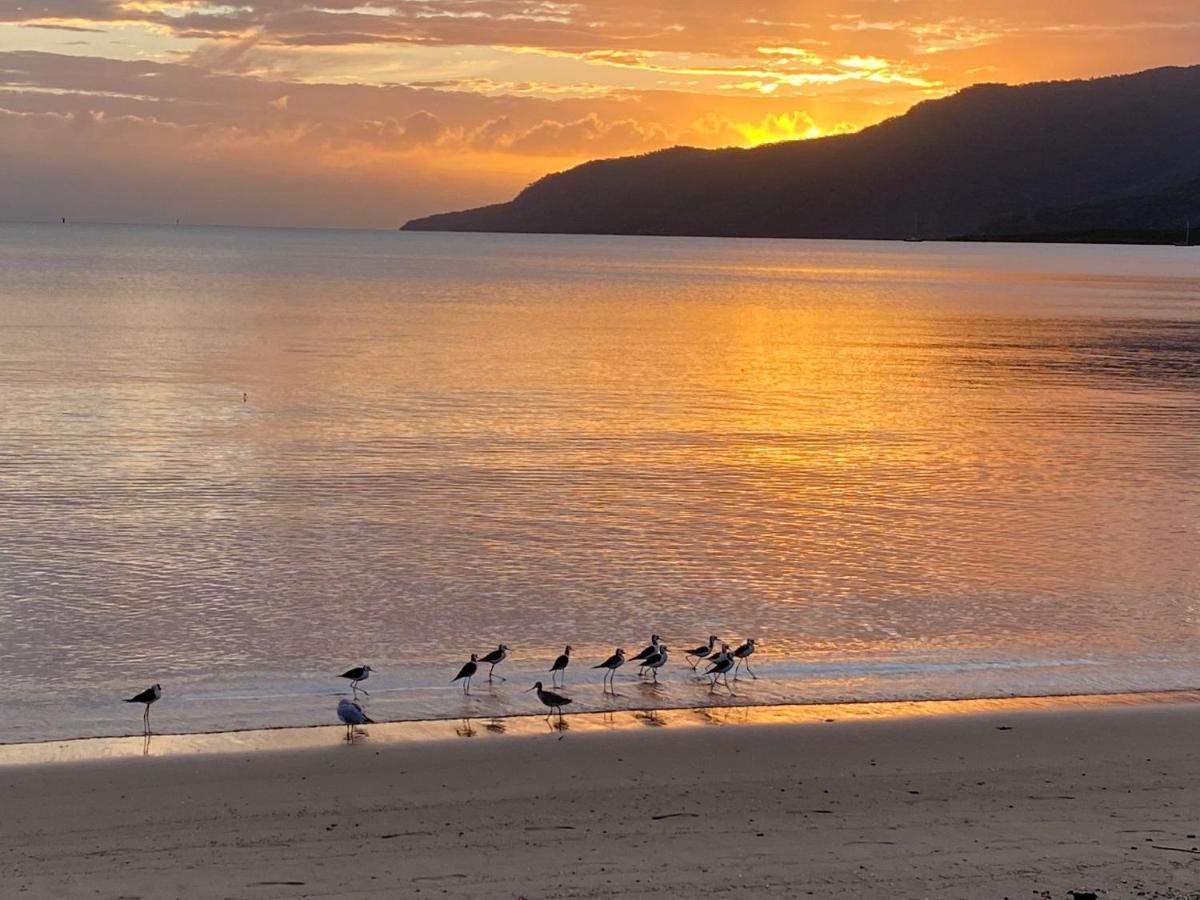 Valle Vista Luxury Apartments Cairns Eksteriør billede